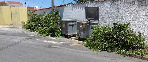 Não torne a sua rua numa lixeira! Não abandone o “Lixo” na via pública!