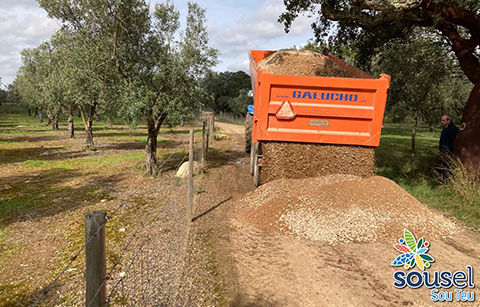 CÂMARA INICIA REPARAÇÃO DE CAMINHOS RURAIS E REPAVIMENTA VÁRIAS ARTÉRIAS DA FREGUESIA DA CASA BRANCA. TRABALHOS VÃO DECORRER EM TODO O CONCELHO.