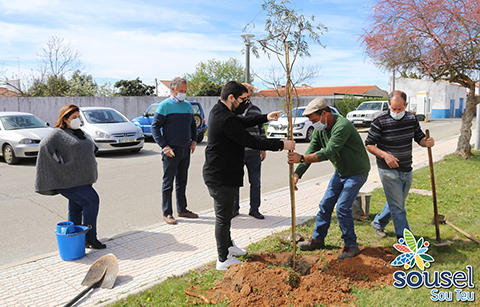 DIA DA ÁRVORE ASSINALADO NO CONCELHO