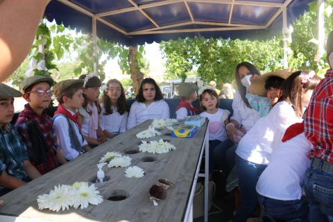 FREGUESIA DE SANTO AMARO ASSINALOU ESTE SÁBADO A BÊNÇÃO DO GADO