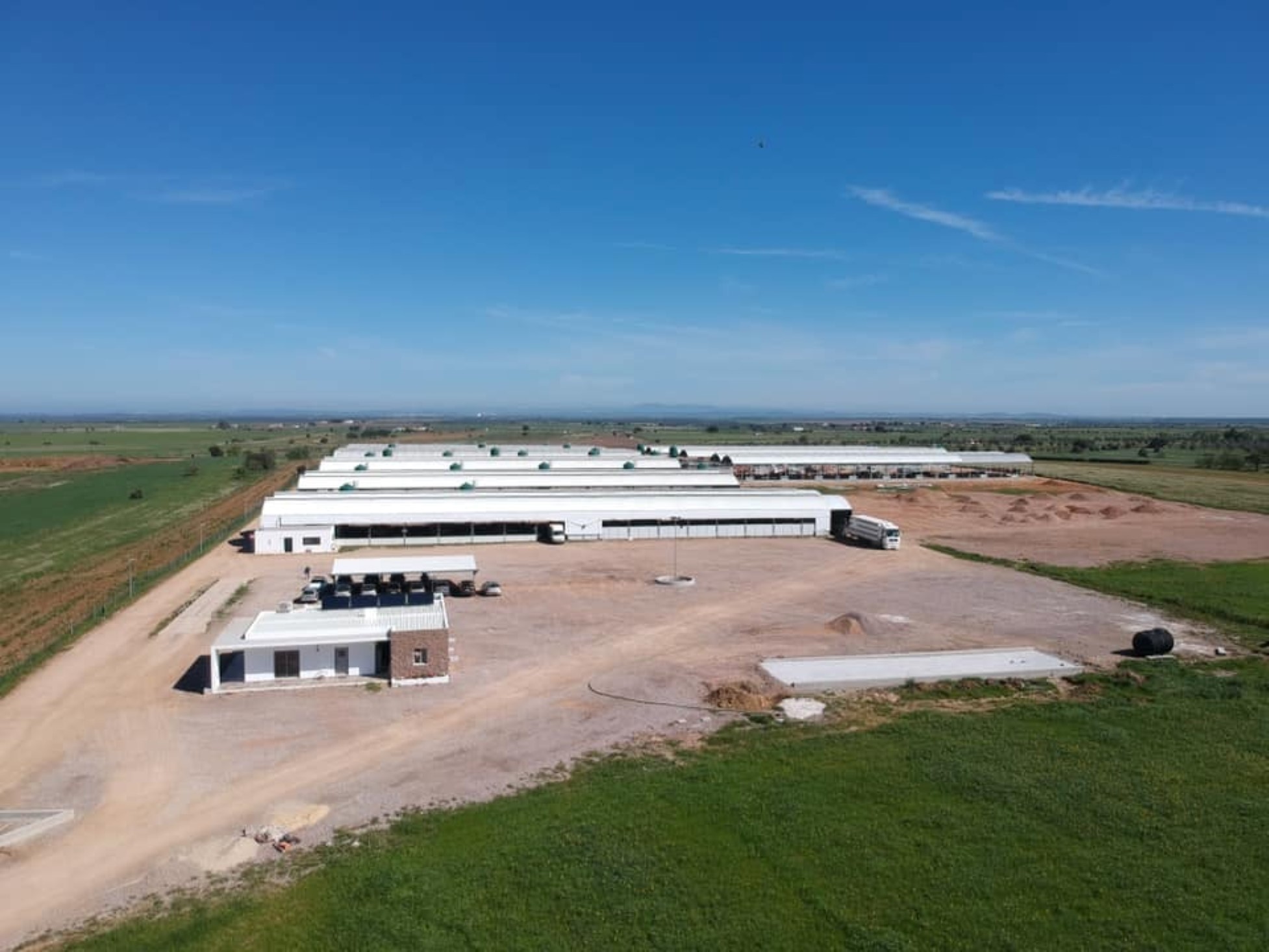 Pasto Alentejano II – Distribuição, lda é detentor da Certificação de Bem Estar Animal