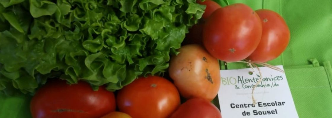 Município assinala Dia Mundial da Alimentação junto das crianças com lanche saudável