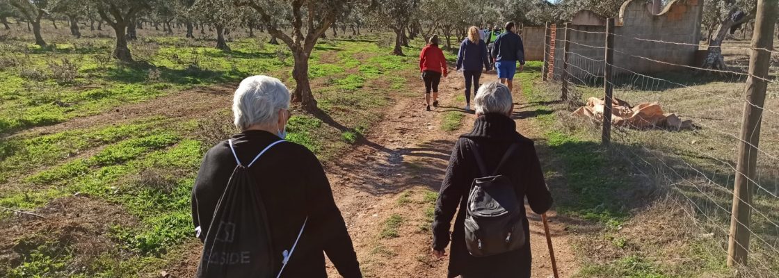 caminhada (1)