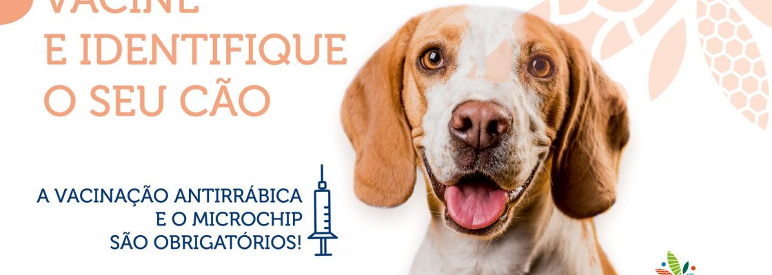 Sabia que a vacinação antirrábica e a identificação eletrónica de todos os cães são obrig...