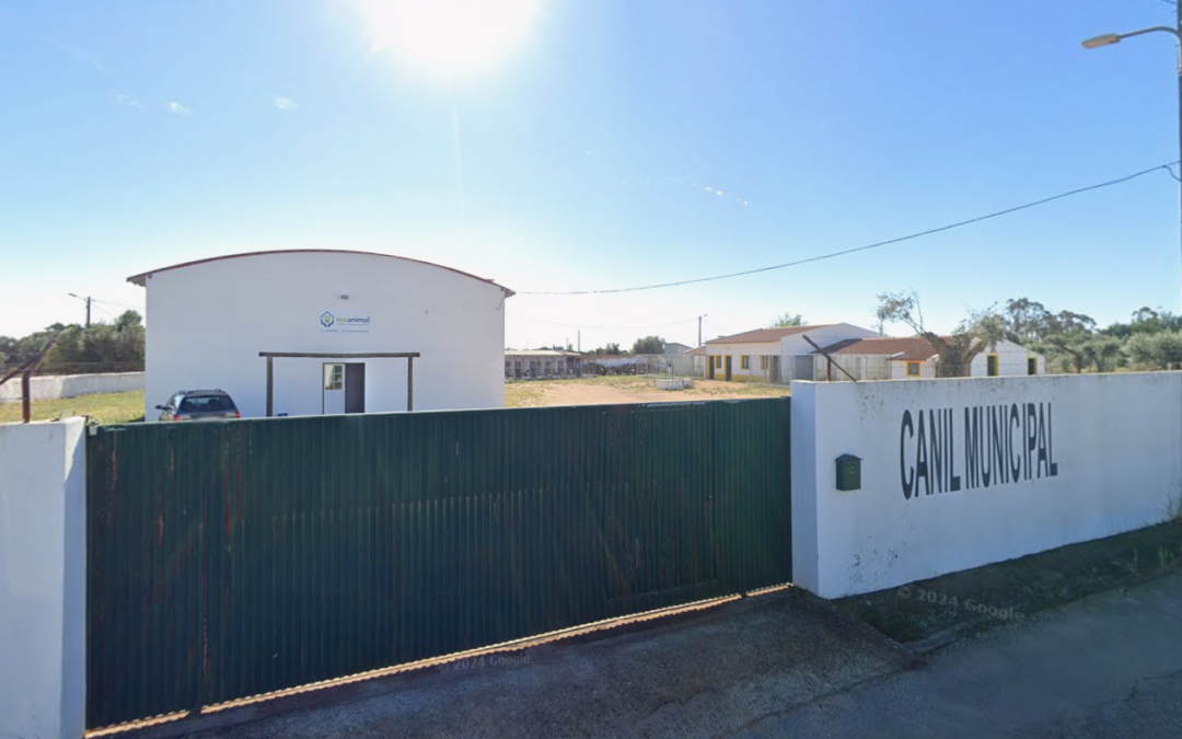 Centro de Recolha Oficial de Animais