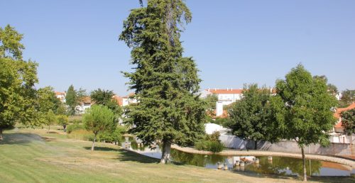 Espaços Verdes