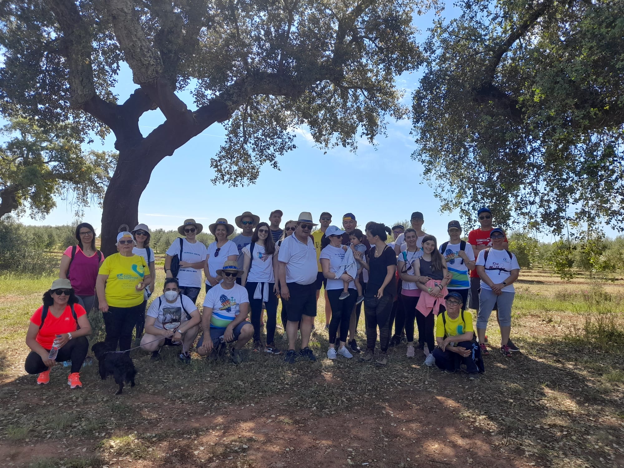 Caminhada levou munícipes por Entre Olivais e Letras
