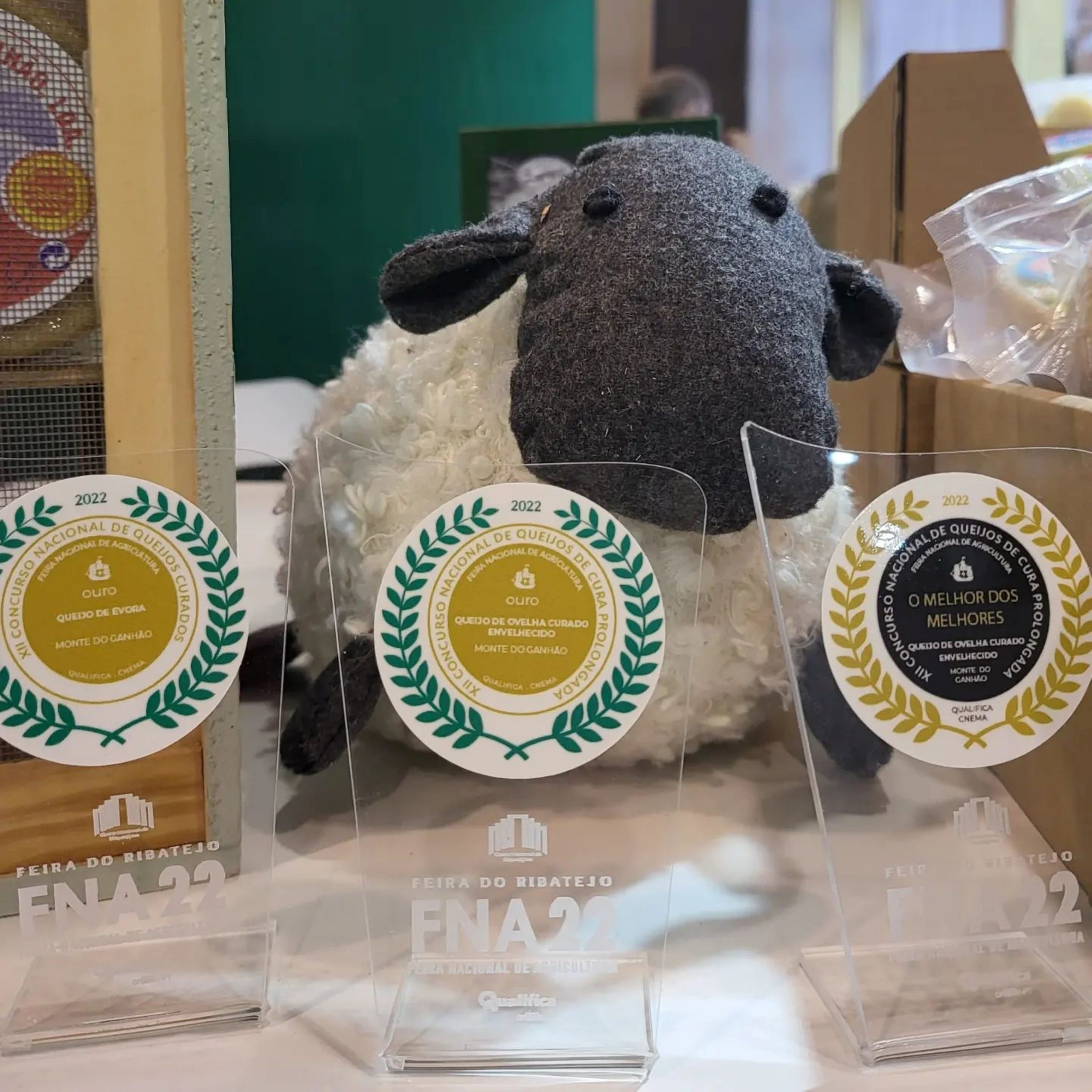 Queijaria “Monte do Ganhão”