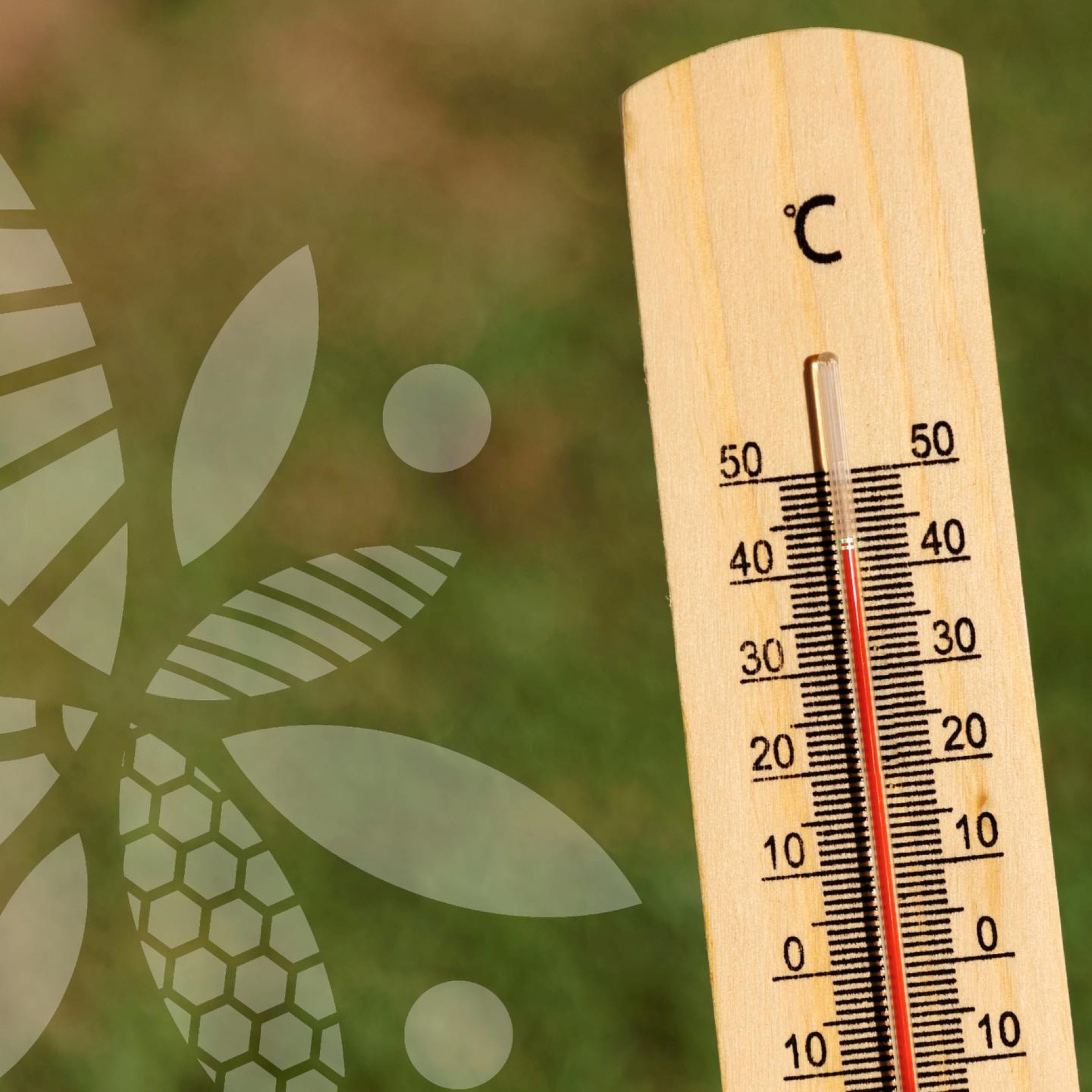 Calor coloca Portugal em Estado de Alerta Especial até dia 15 de julho