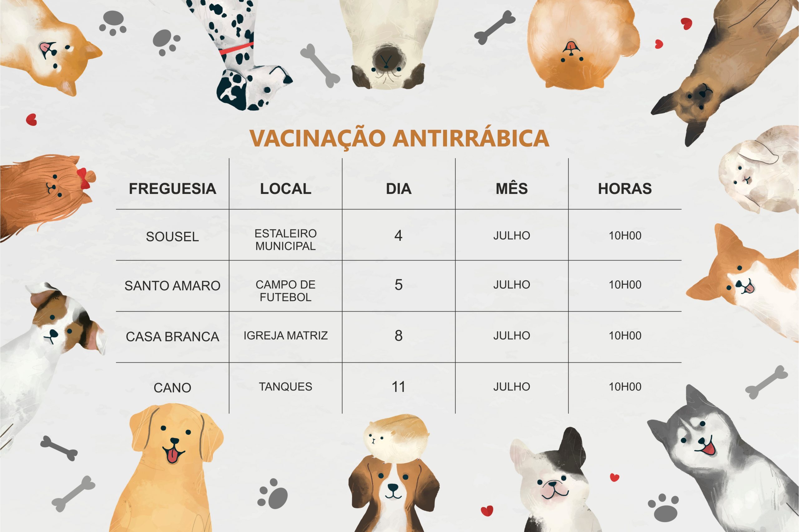 Campanha de vacinação de animais domésticos decorre a partir de 4 de julho