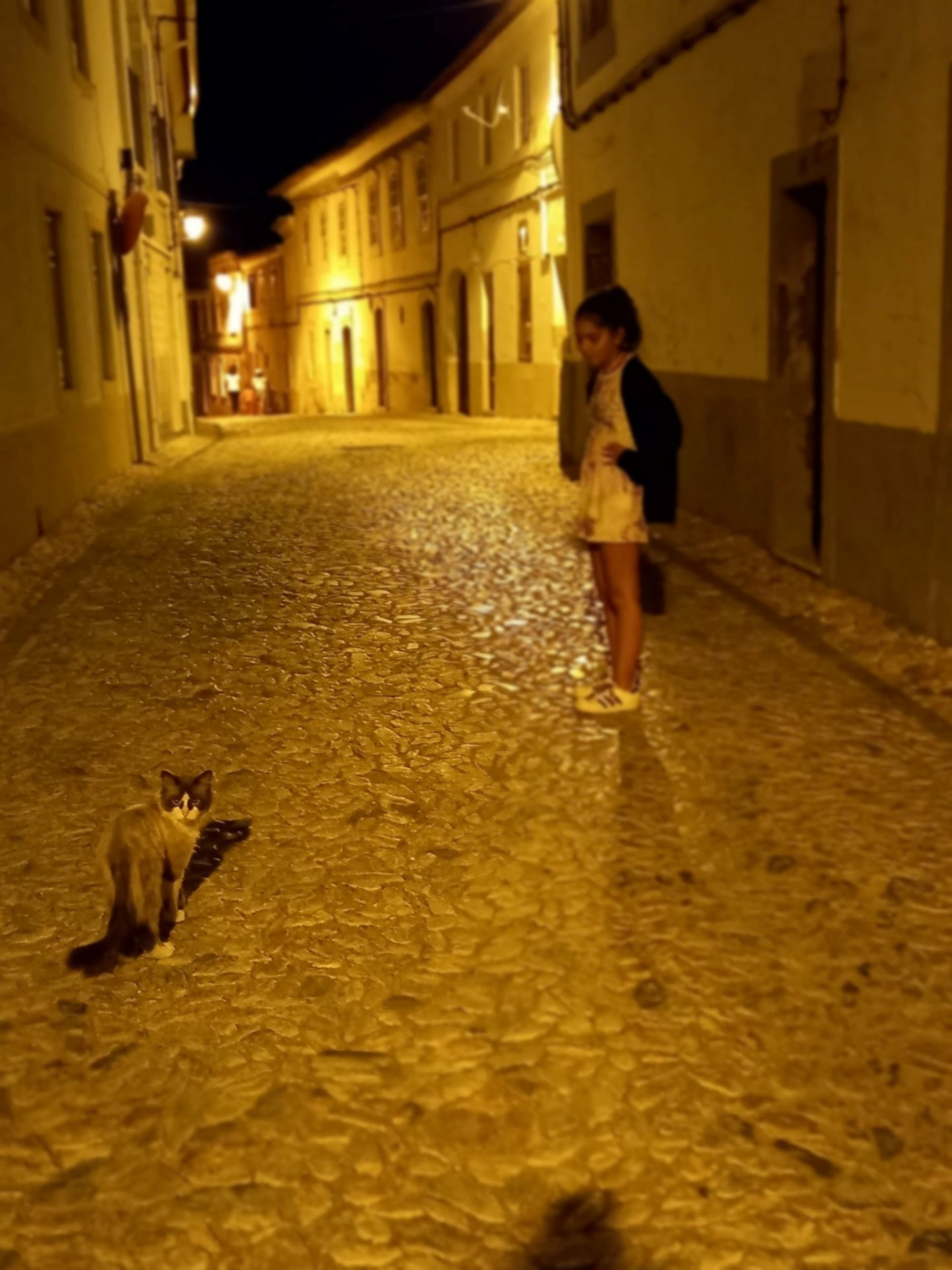 “Noite Alentejana I” vence Prémio do Público do concurso de fotografia “Sousel Adentro”