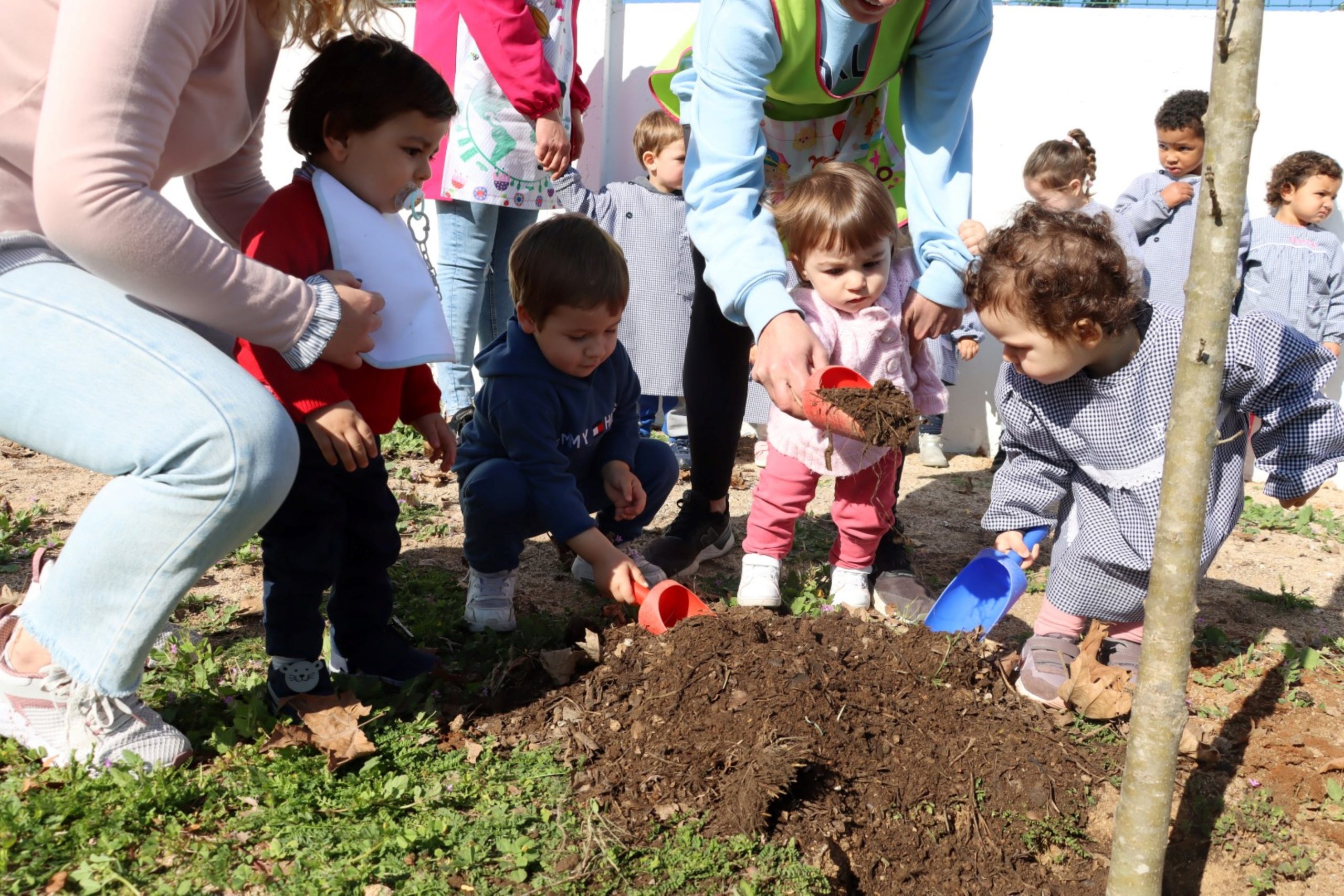 Dia da Árvore assinalado nas escolas do concelho
