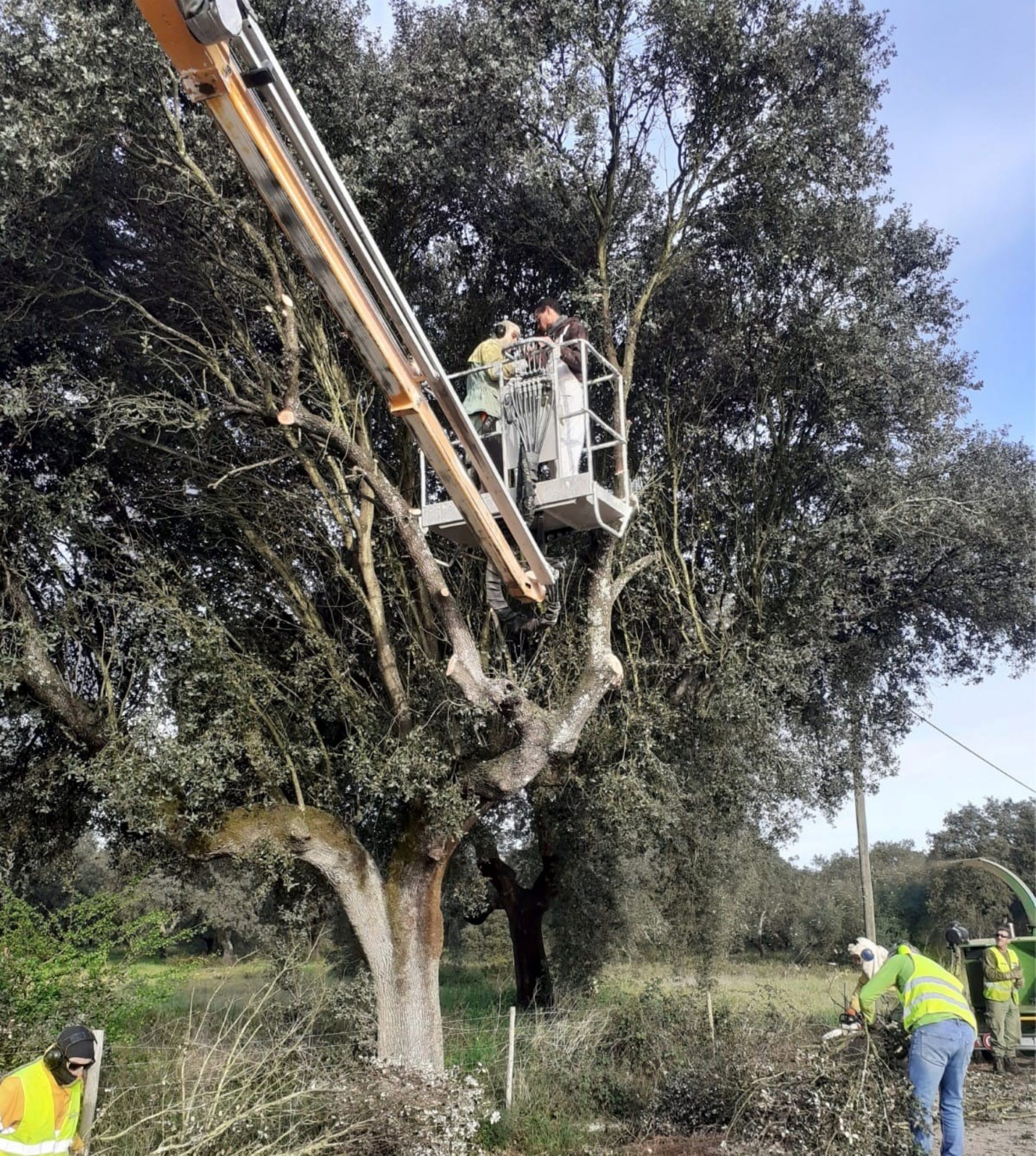 Condicionamento de trânsito na Estrada Municipal 508