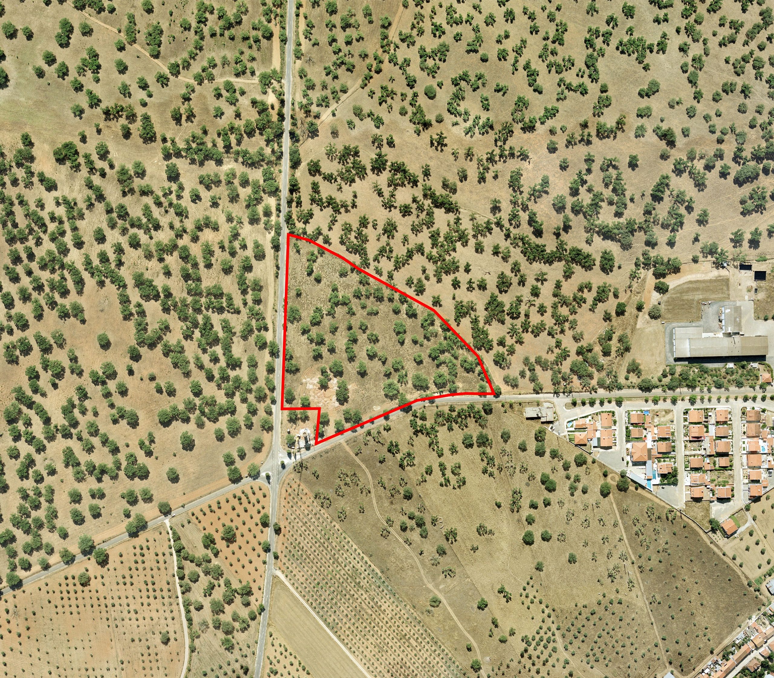 Venda da Pastagem do Prédio 809 – Herdade das Costas – Santo Amaro