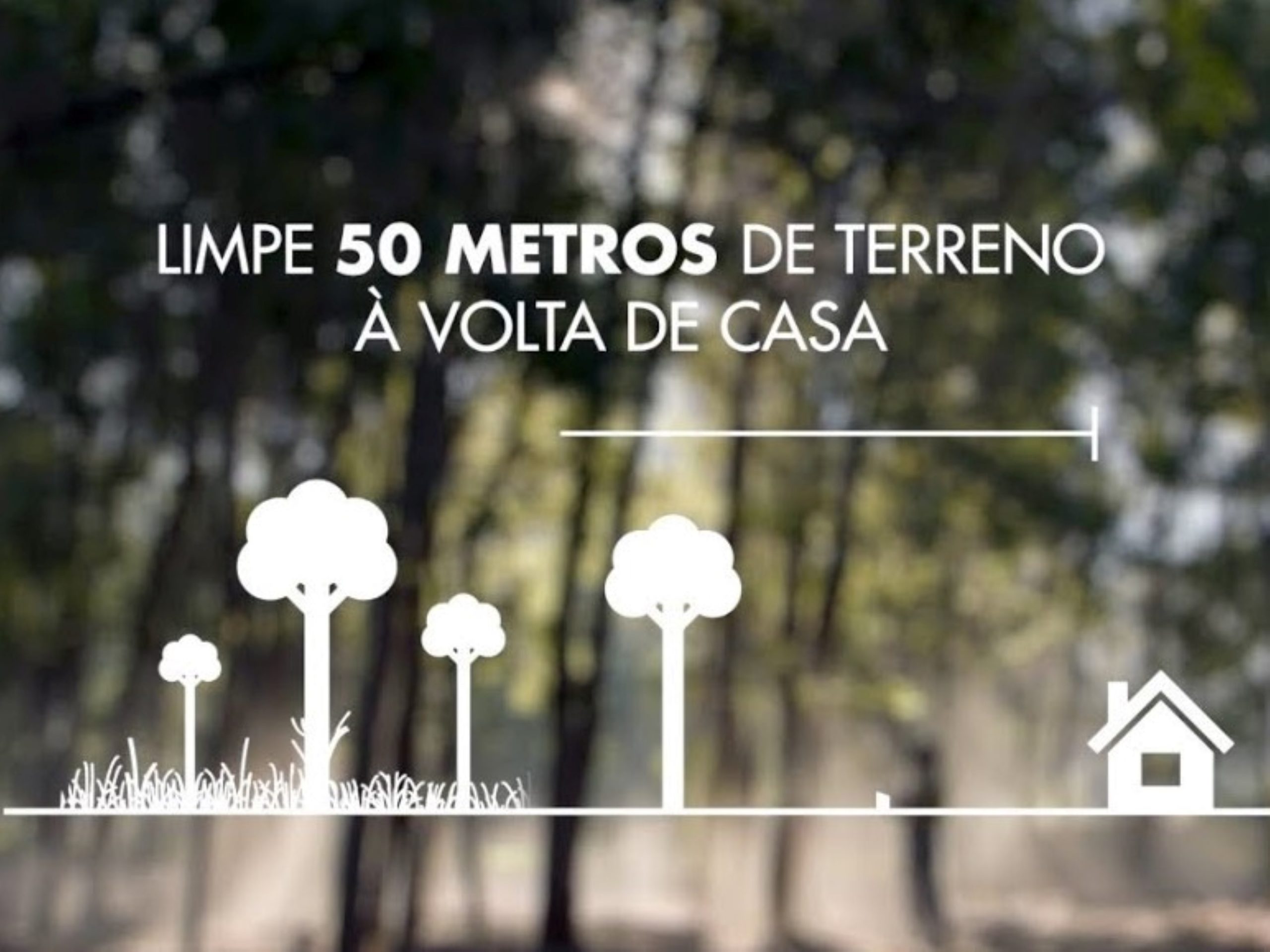 Já limpou o seu terreno?