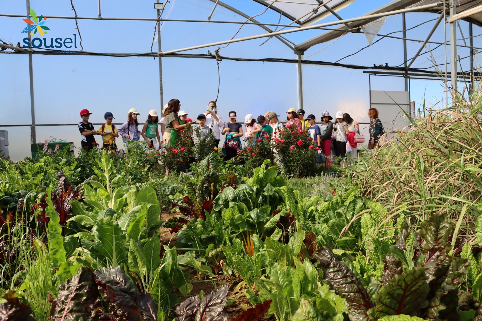 BioAlentejanices & Companhia – Produtos Hortícolas