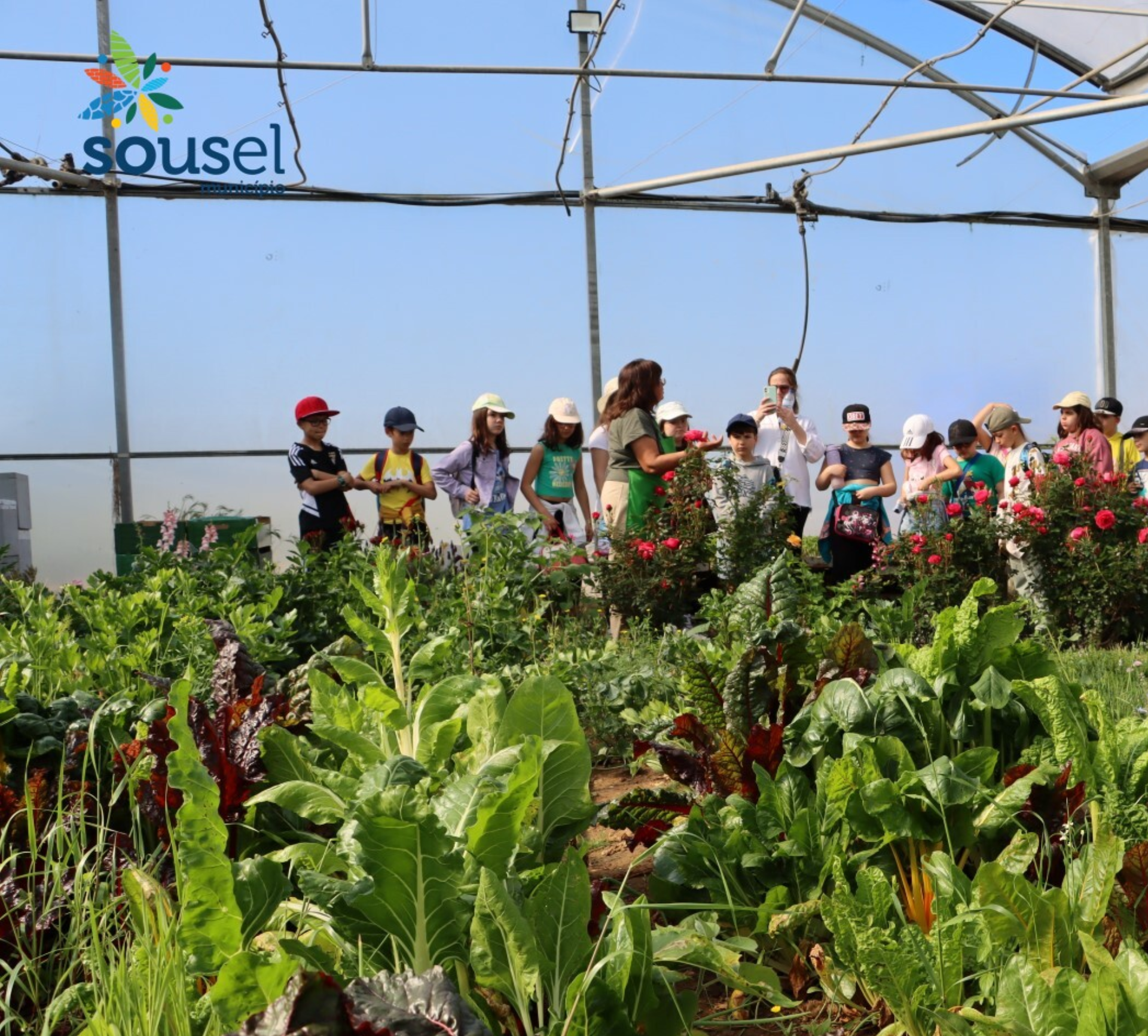 Projeto Alimenta Sã traz escolas à BioAlentejanices