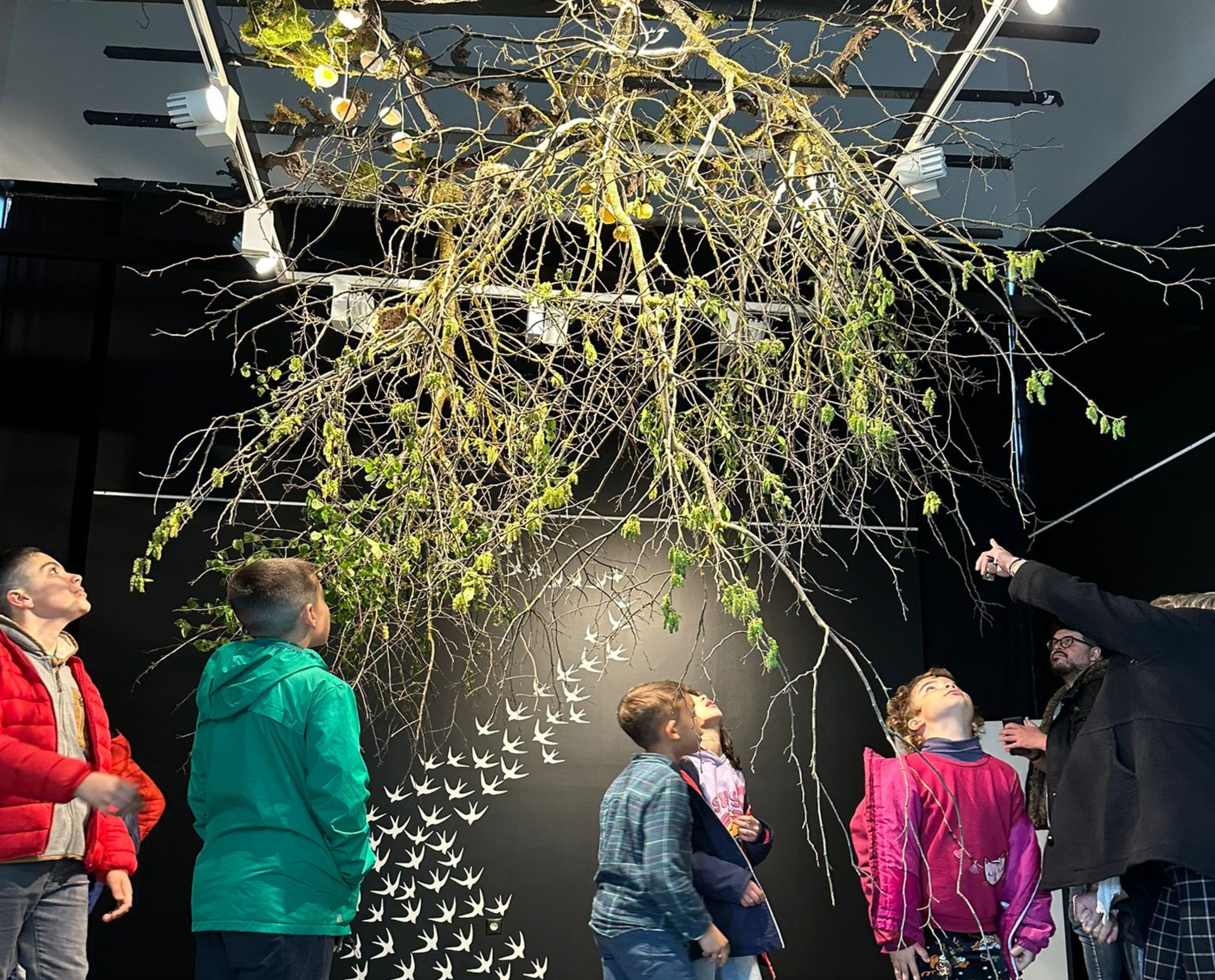 Natureza Invertida no Museu dos Cristos