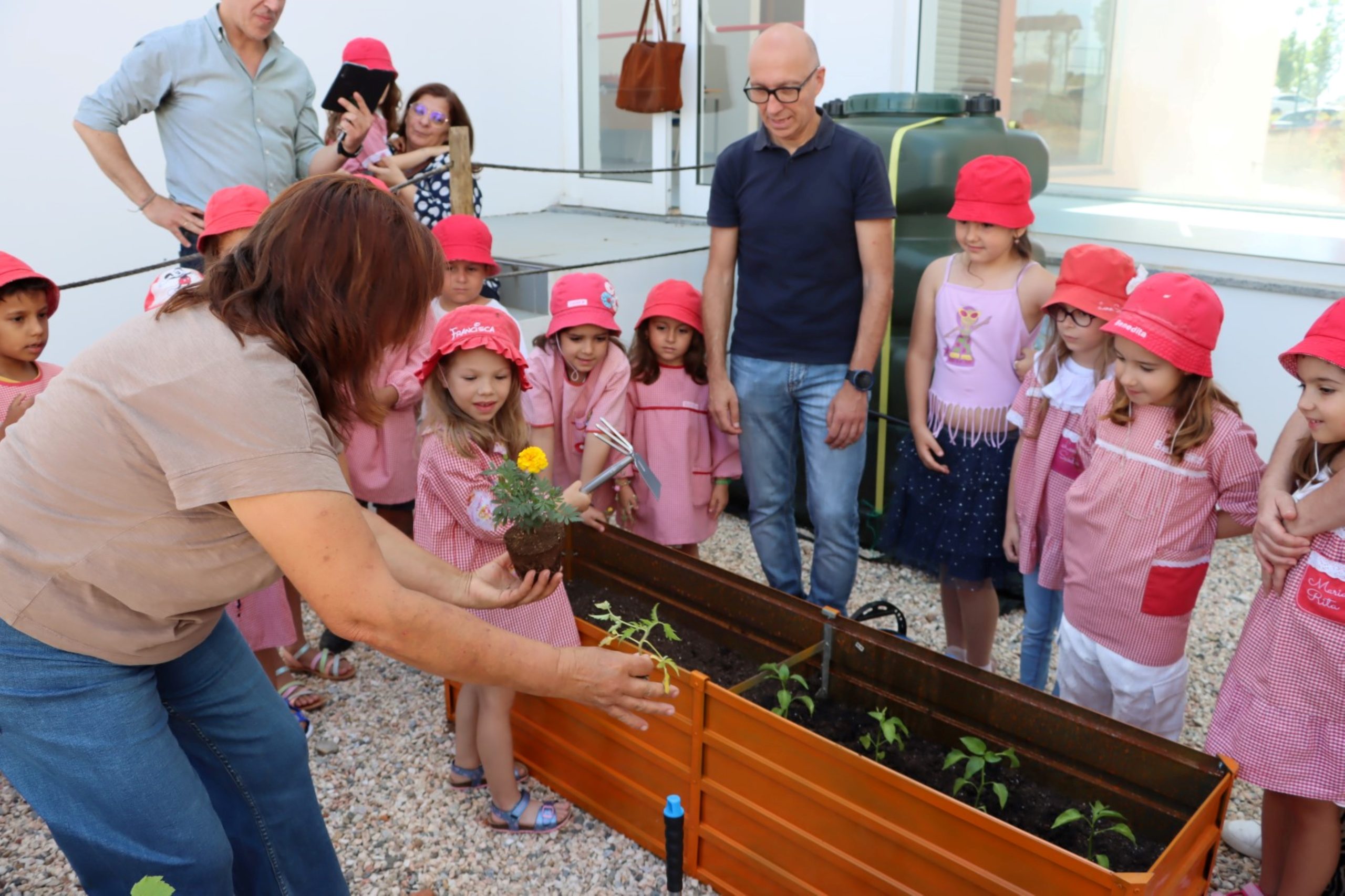 Horta Biológica no Centro Escolar de Sousel: Educação e Sustentabilidade em Ação