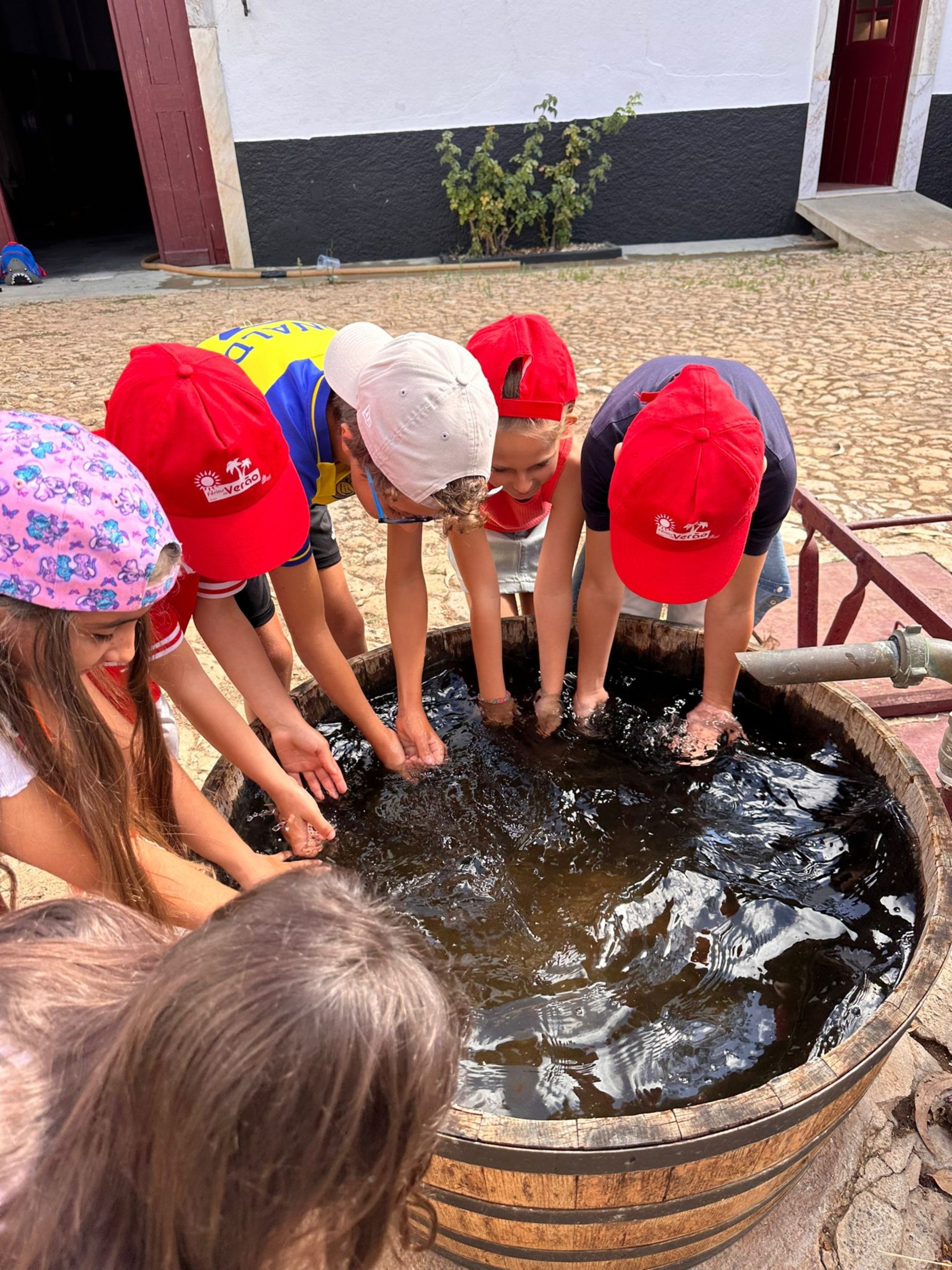 Férias de Verão: Crianças exploraram saberes e sabores do concelho