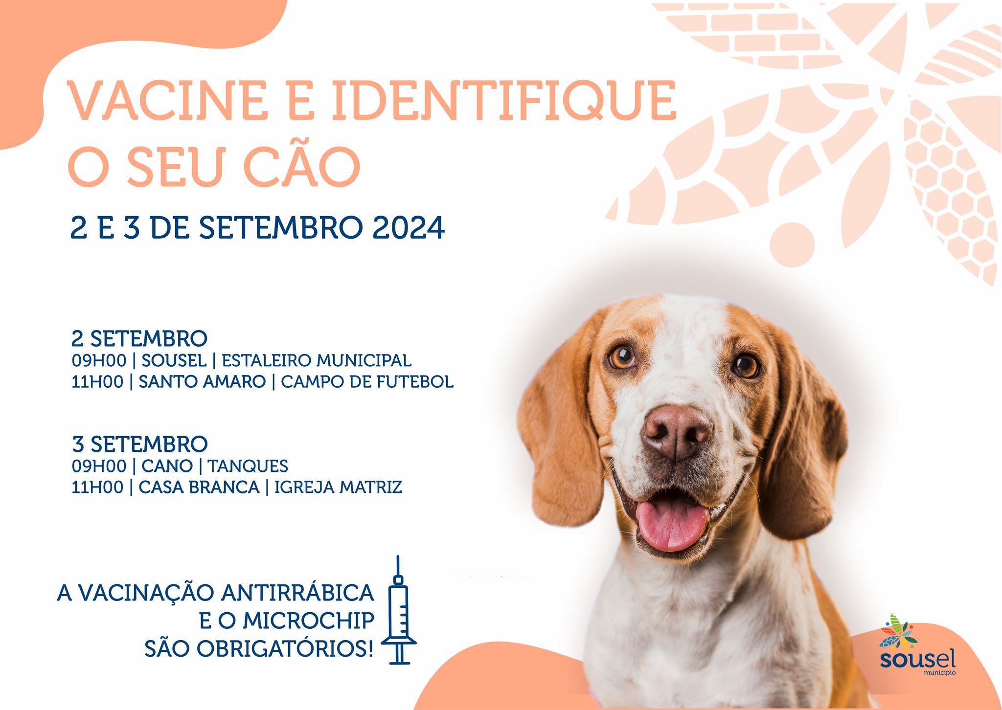 HOJE e AMANHÃ – Campanha de Vacinação Antirrábica no concelho de Sousel