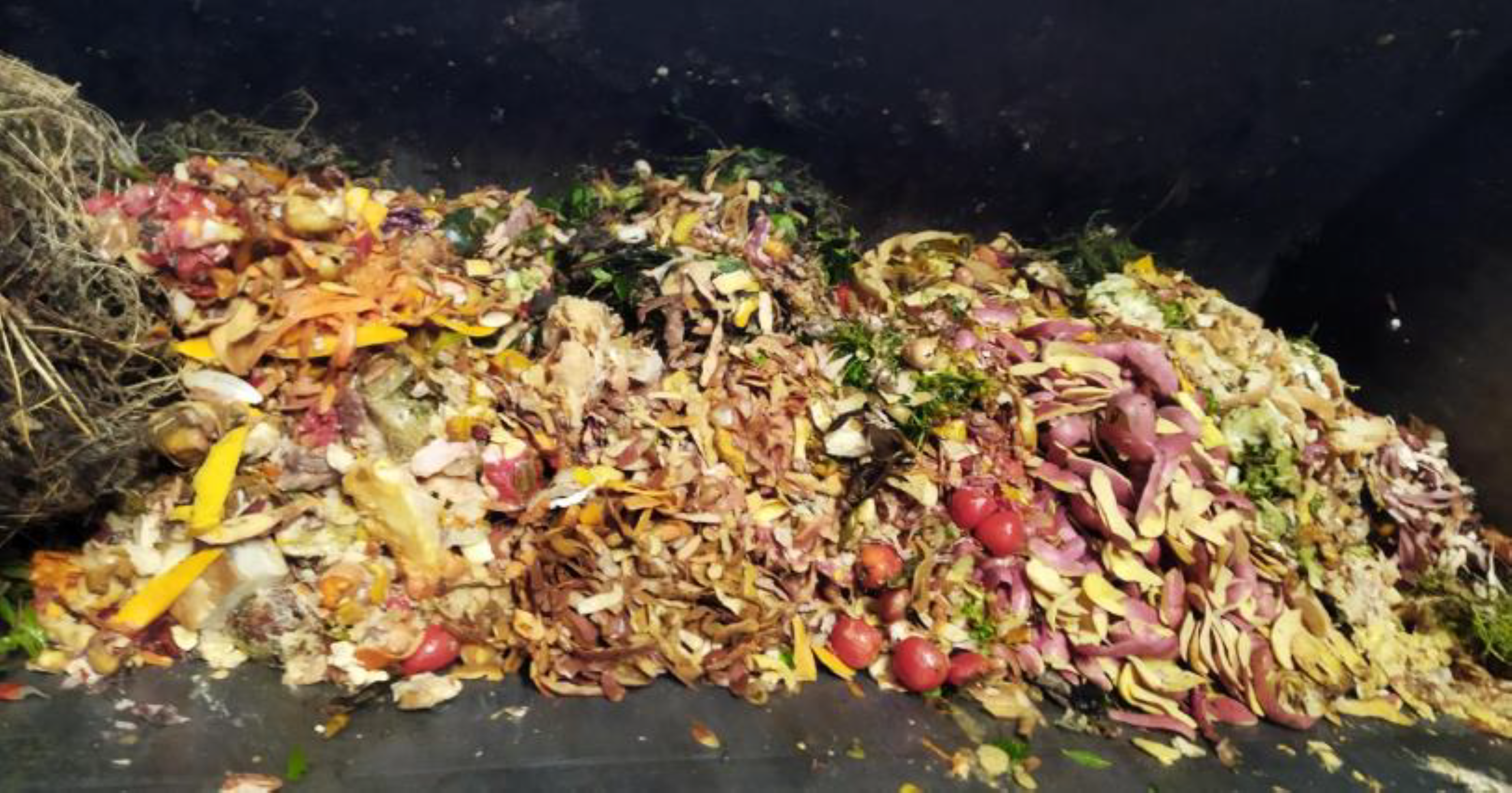 Concelho de Sousel é exemplar na qualidade de biorresíduos separados