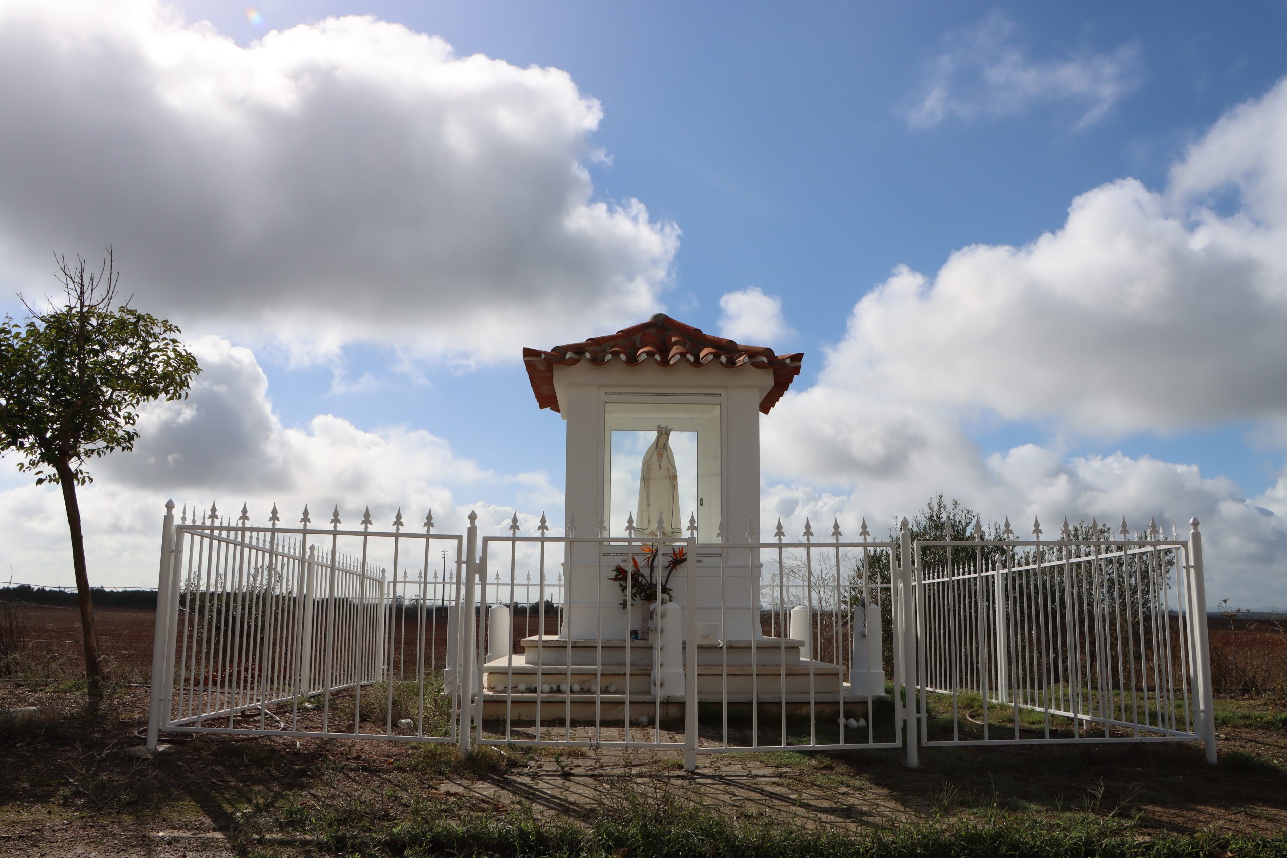 Imagem do Imaculado Coração de Maria em Almadafe intervencionada