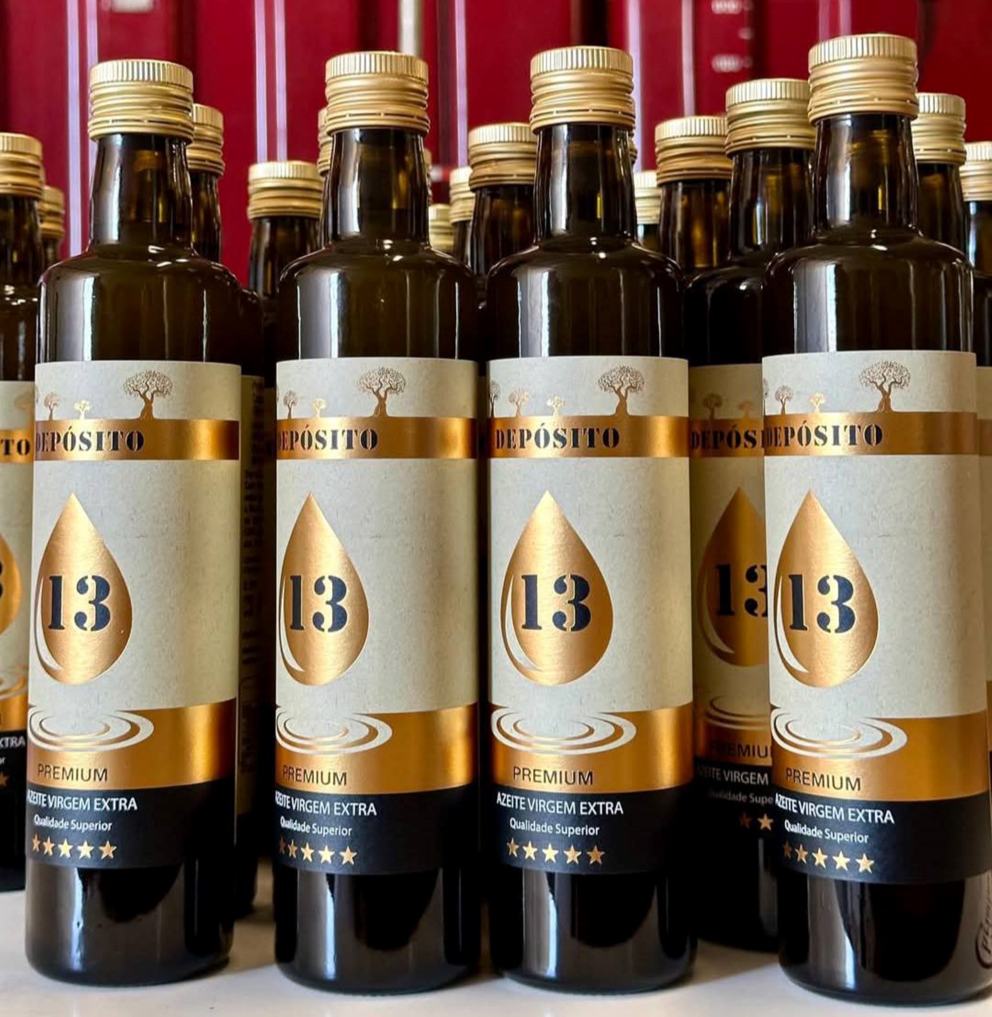 Cooperativa de Cano premiada em concurso ibérico de azeites