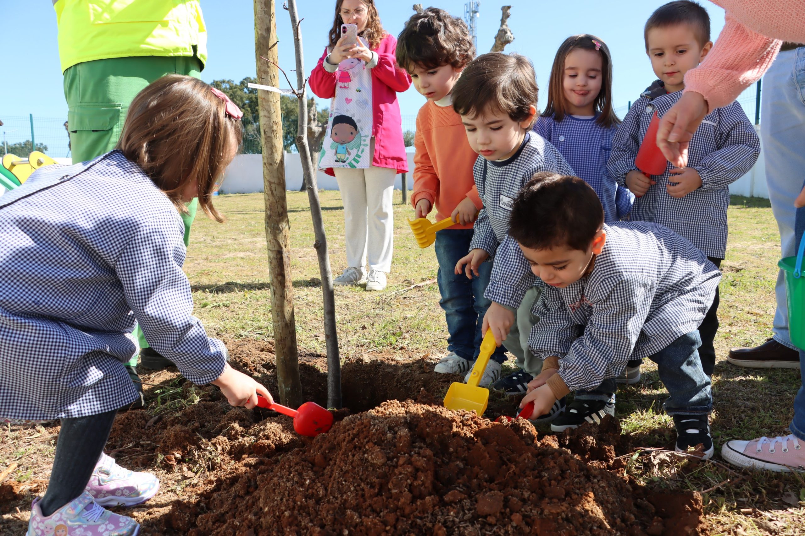 Dia da Árvore assinalado nas escolas do concelho