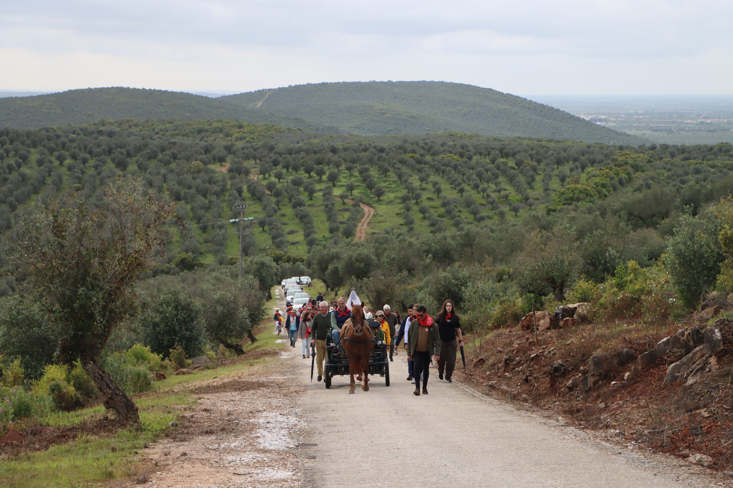 Romaria em honra de Nossa Senhora do Carmo decorreu com grande devoção, apesar da ameaça de chuva
