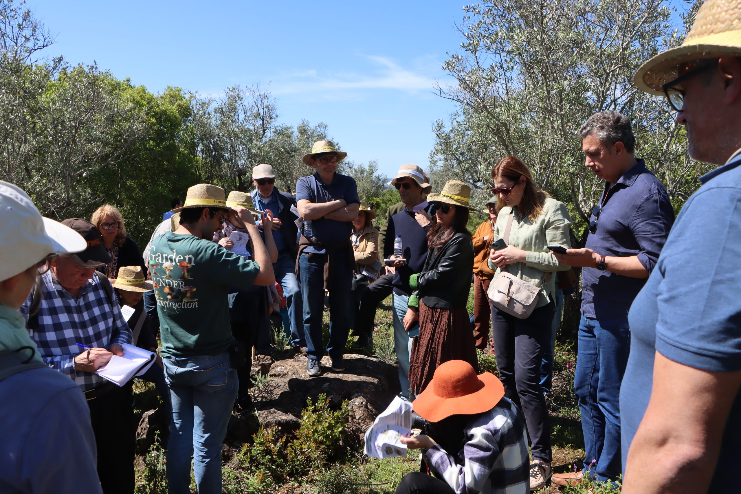 Música, património e natureza de Sousel no Festival Terras sem Sombra