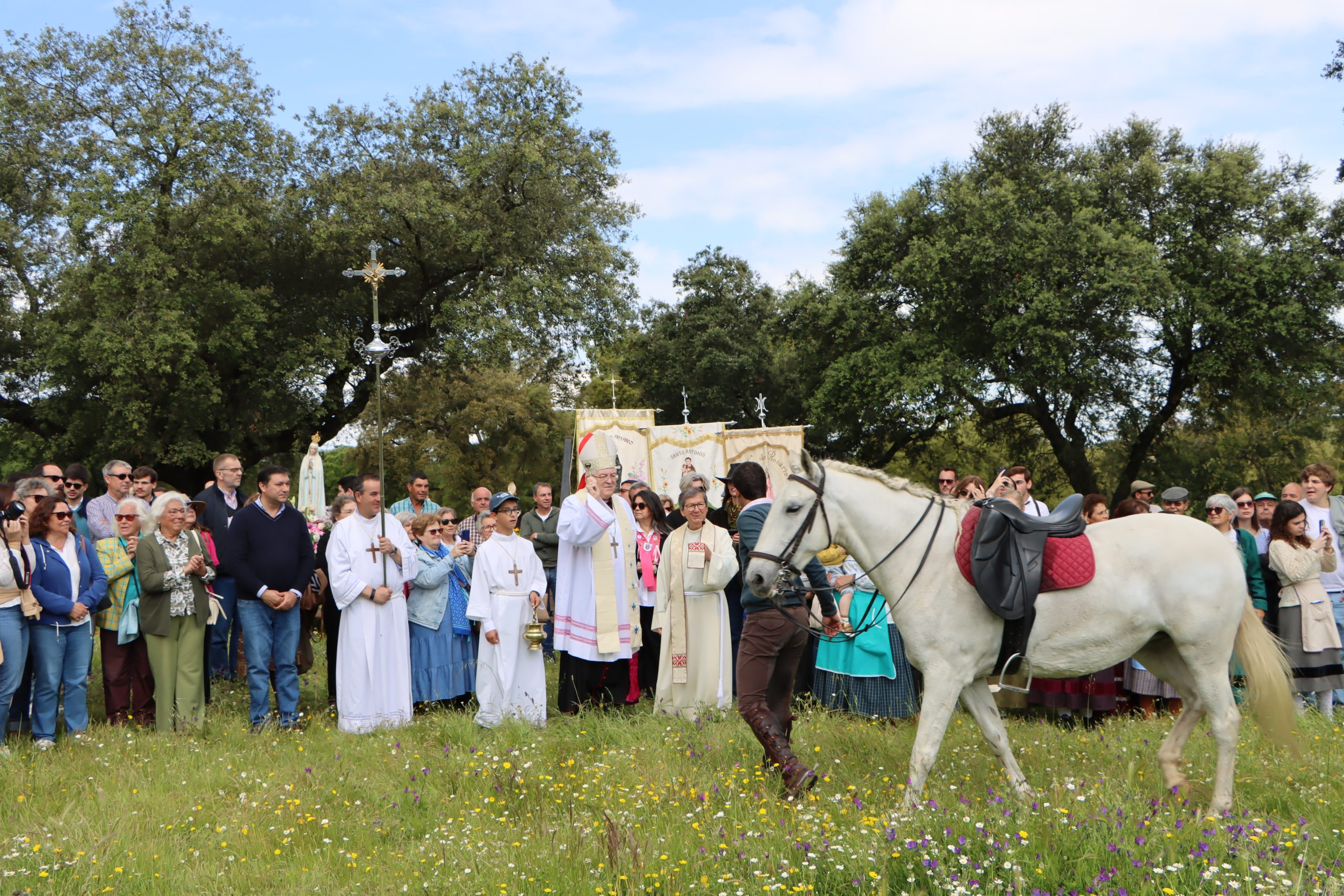 Tradição cumprida em Santo Amaro com a Bênção do Gado