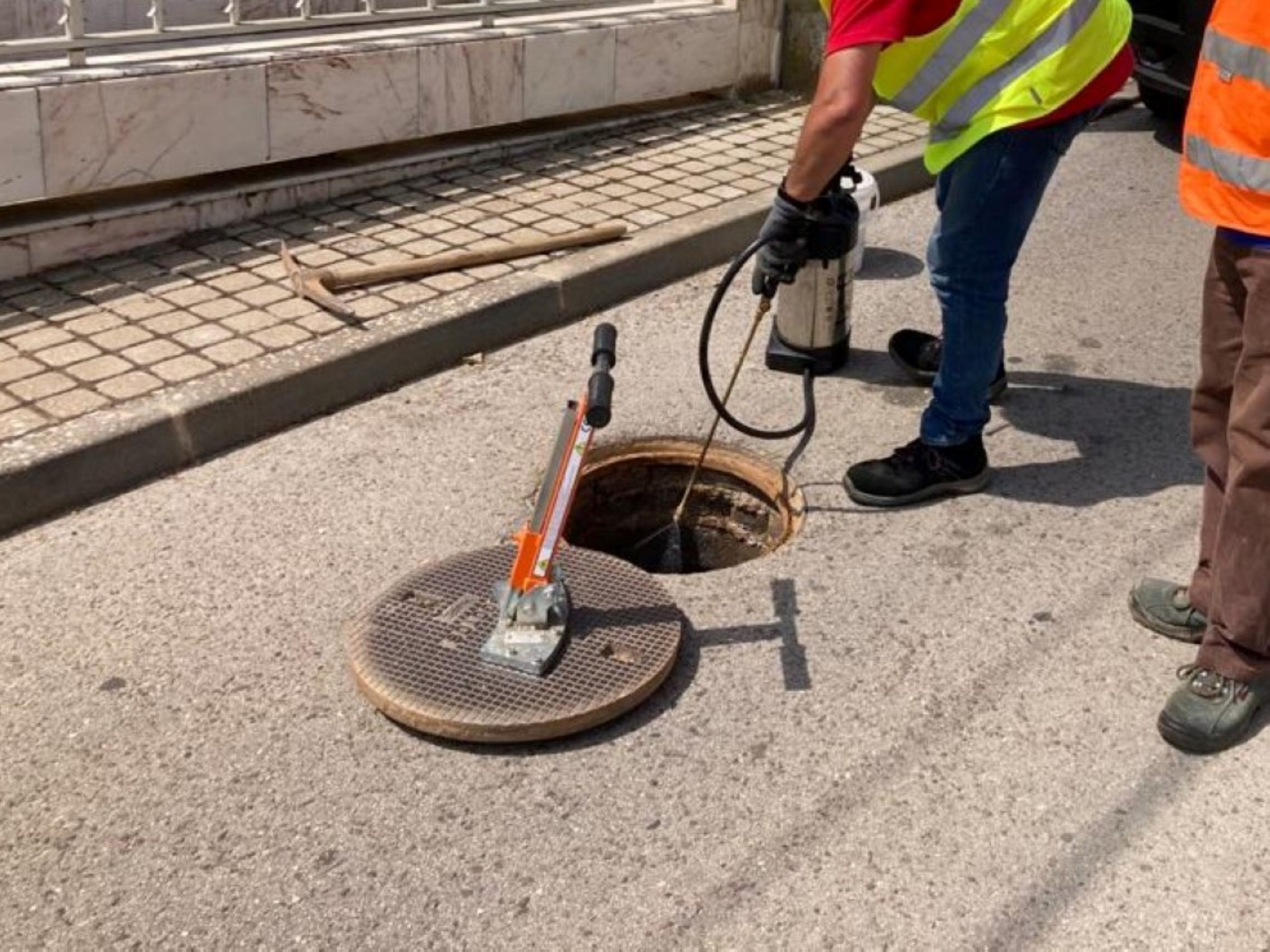 Controlo de pragas no concelho de Sousel