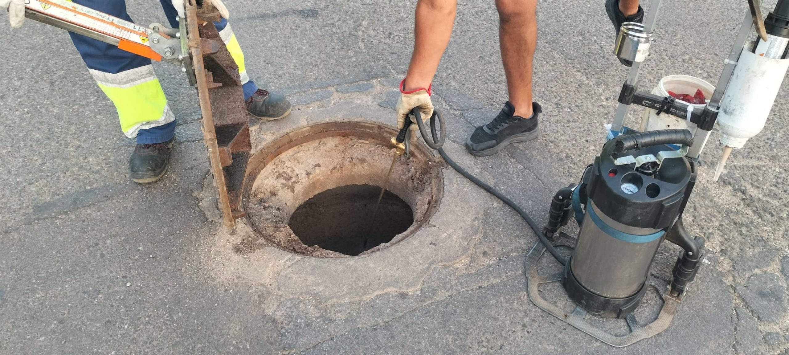 Controlo de pragas no concelho de Sousel