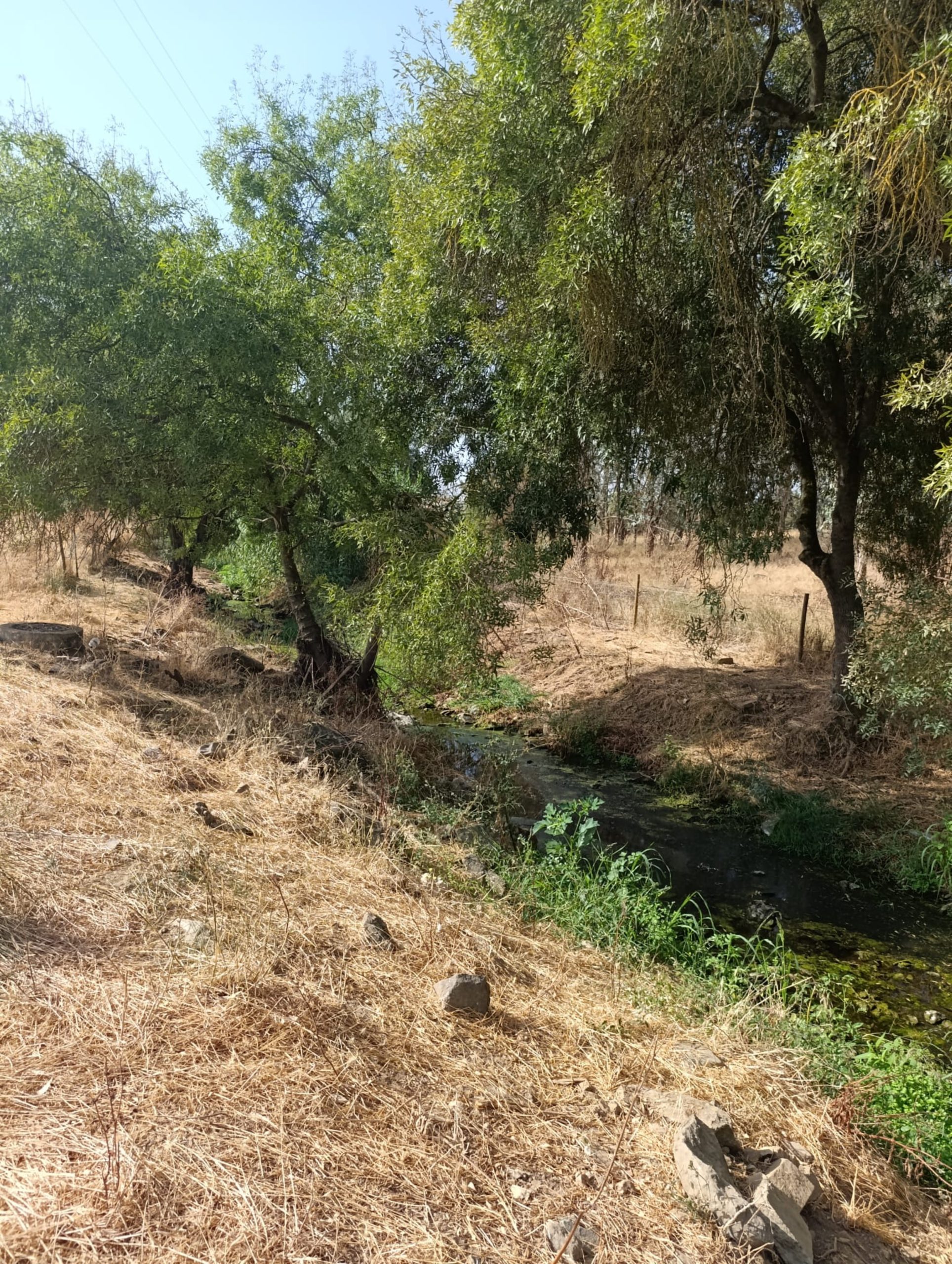 Câmara Municipal de Sousel realiza trabalhos de limpeza no Ribeiro das Mulheres
