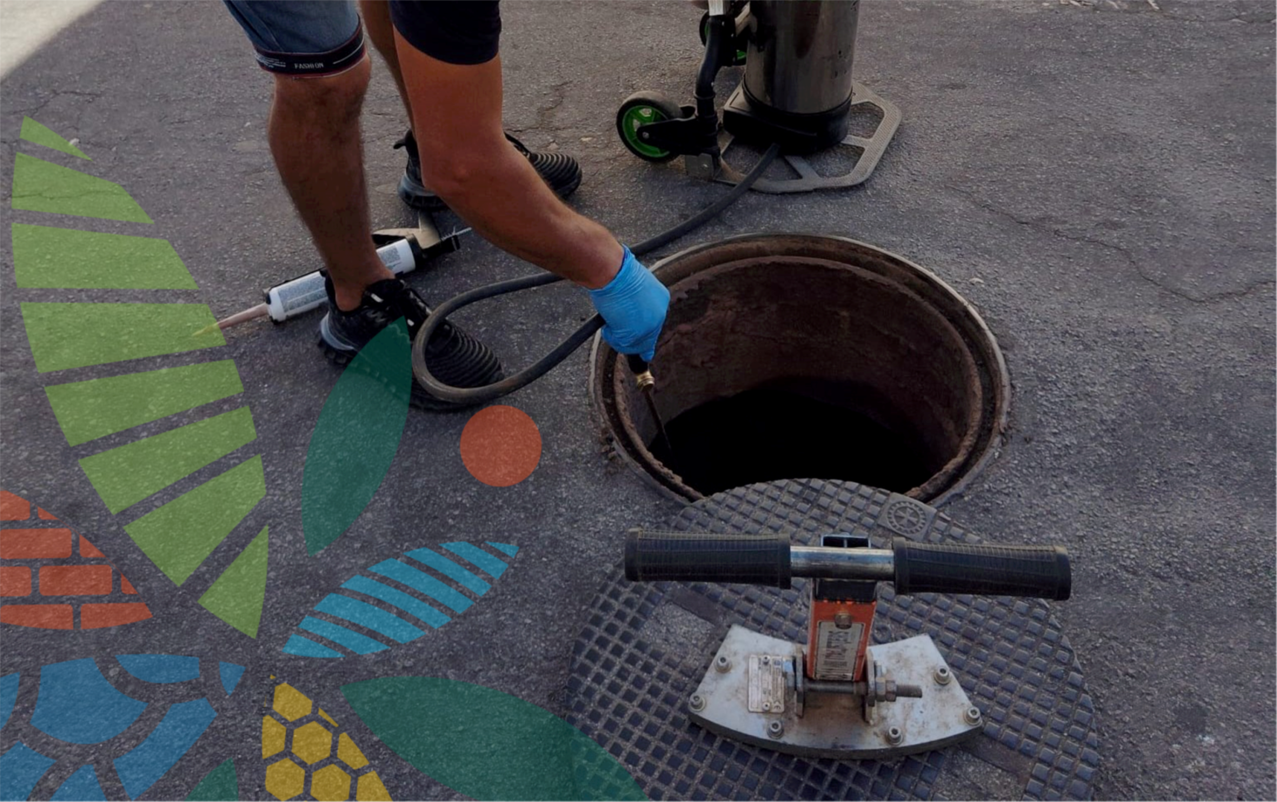 Controlo de pragas no concelho de Sousel