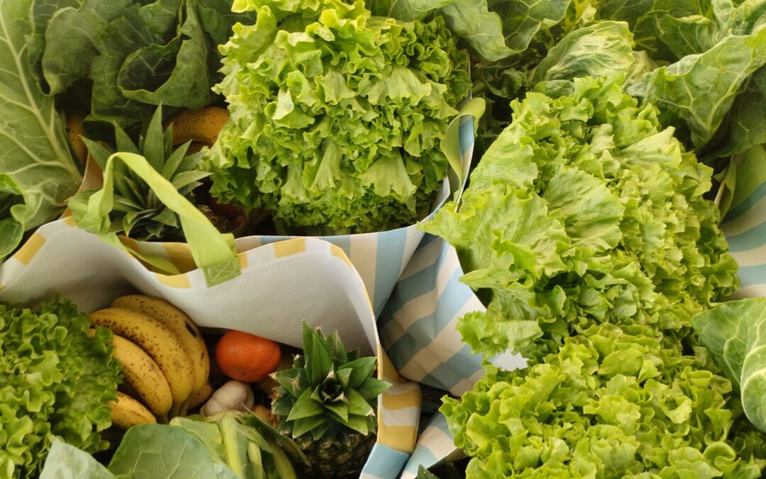 Município de Sousel entrega cabazes de Natal a famílias carenciadas