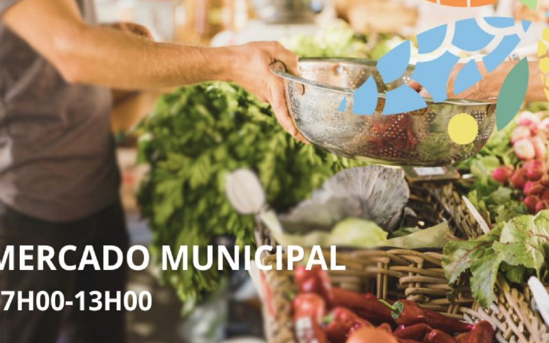 Descubra o Mercado Municipal de Sousel